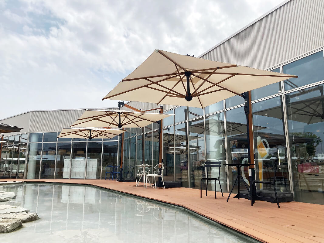 Galileo wood 1