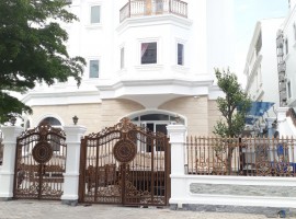 Sakura project  - TP. HCM