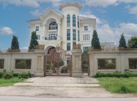 BUCKINGHAM CAST ALUMINUM GATE AND MIRROR CAST...