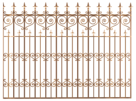 Raspeerry 110 gốc