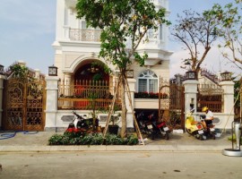 27588CB9 8FFE 4C70 A3D6 9C71D13B1960 L