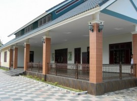 263bongson binhdinh h1 L L