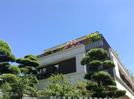 Tấm ốp trang trí & Cầu thang | Hà Nội