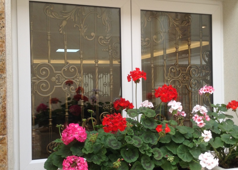 Buckingham gate project - Lao Cai