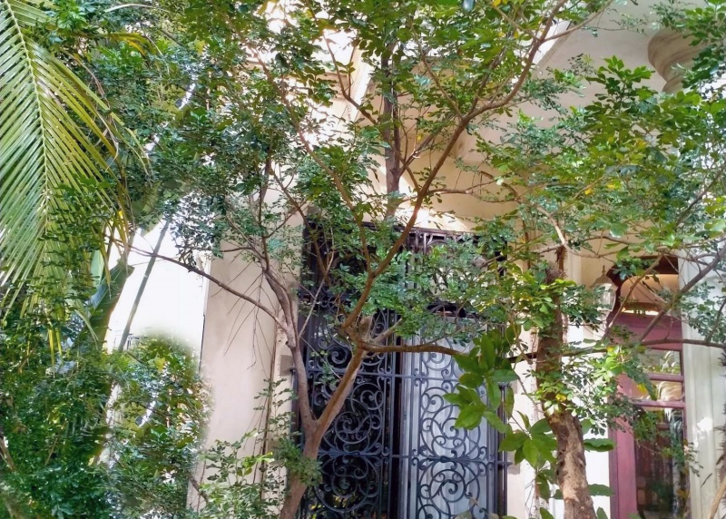 Công trình khung cửa sổ Lorraine