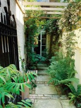 Beautiful garden for narrow house